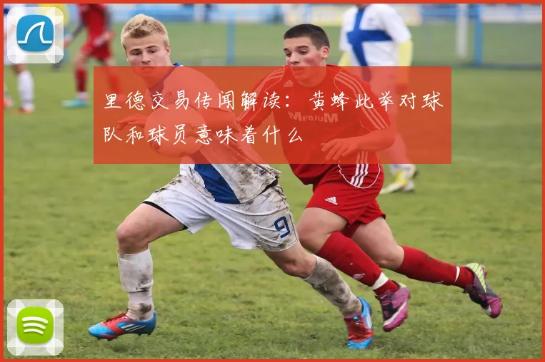 里德交易传闻解读:黄蜂此举对球队和球员意味着什么