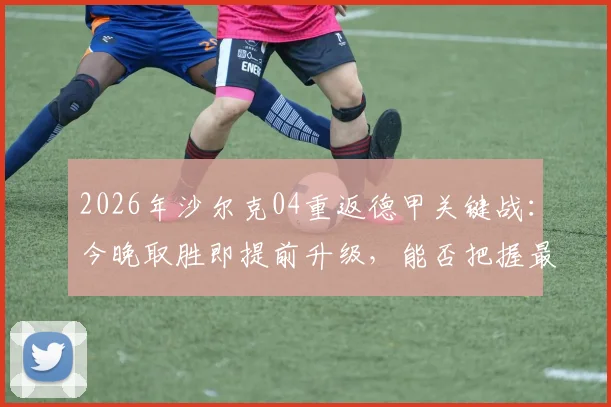 2026年沙尔克04重返德甲关键战:今晚取胜即提前升级,能否把握最后机会?附最新积分形势与赛程分析